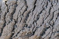 Graue Struktur des abstrakten Hintergrundes