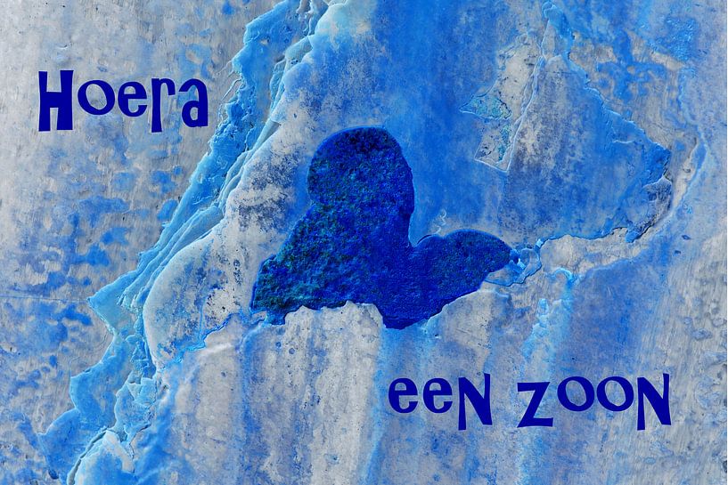 Hoera een zoon by Alice Berkien-van Mil