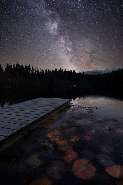 Steg unter den Sternen von Franziska Jungen