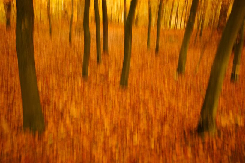 Herbstfarben in Bewegung von Alice Berkien-van Mil