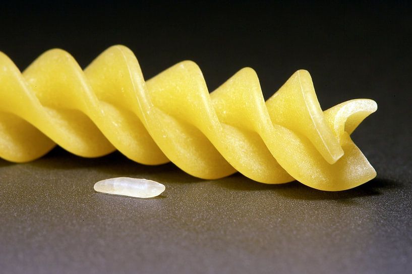 Noodle and rice grain by Frank Herrmann