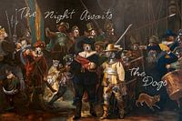 La nuit attend les chiens