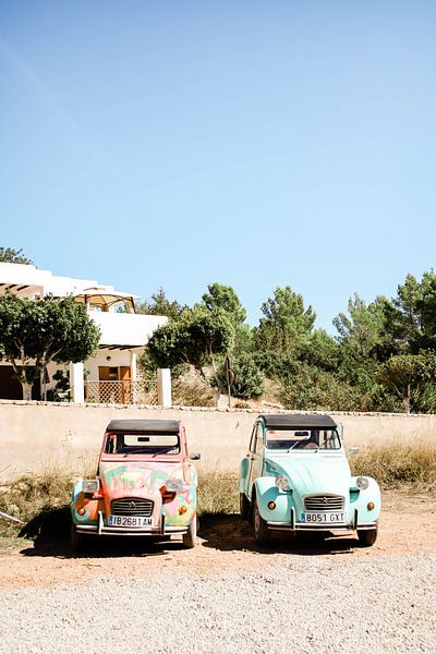 Colorful Ibiza cars by Djuli Bravenboer