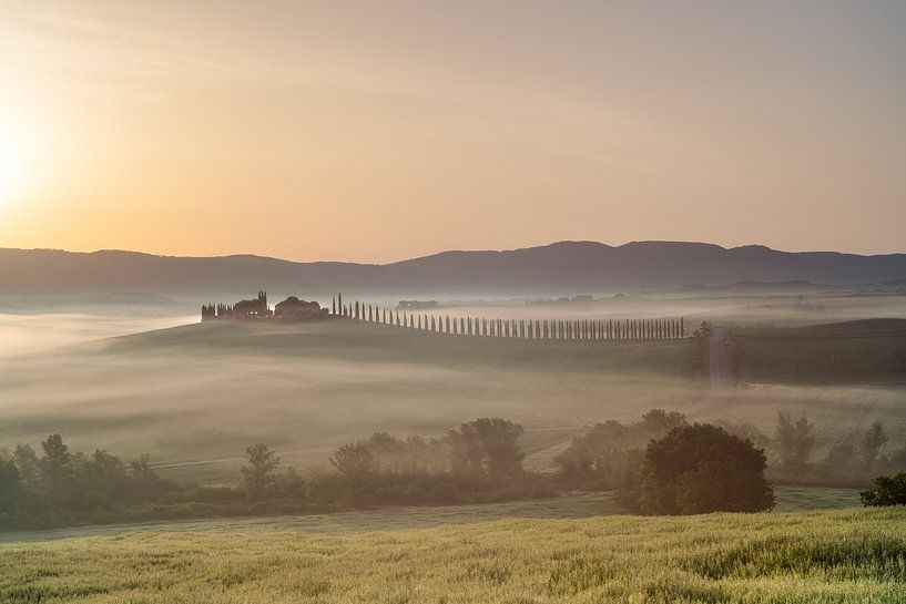 Tuscany, Sunrise, Val d' Orcia by Petra vd Berg