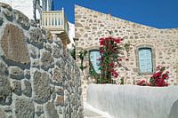 Haus mit rosa Bougainvillea in einem griechischen Bergdorf