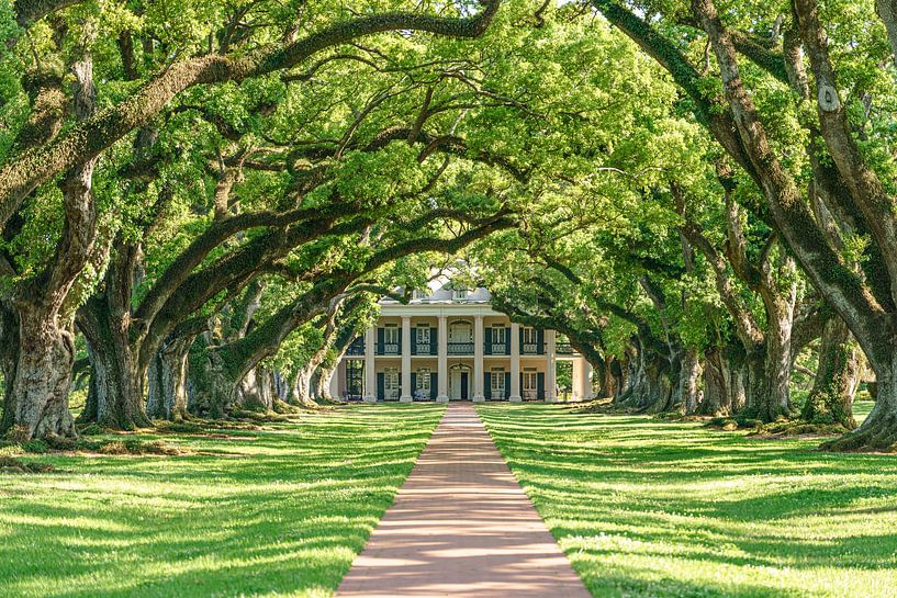 Oak Alley Plantation. by Jaap van den Berg