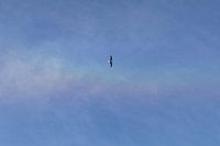 Flying through the rainbow