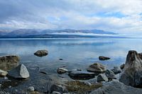 The hushed world of nature