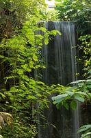 Tropischer Wasserfall