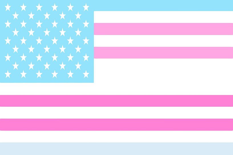 American Transgender Pride Art by Art Kingdom