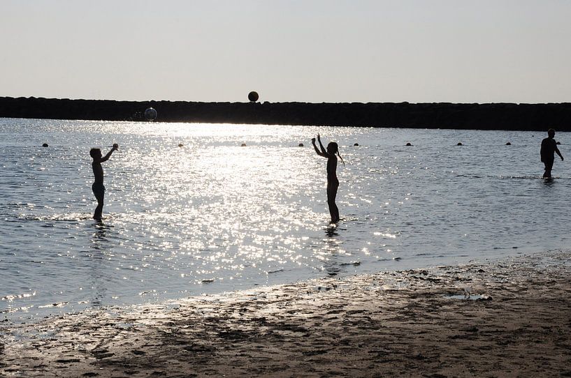 Ball game in the water by Nico Orie