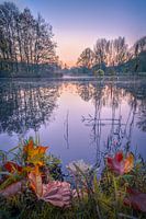 Blaue Stunde im Herbst