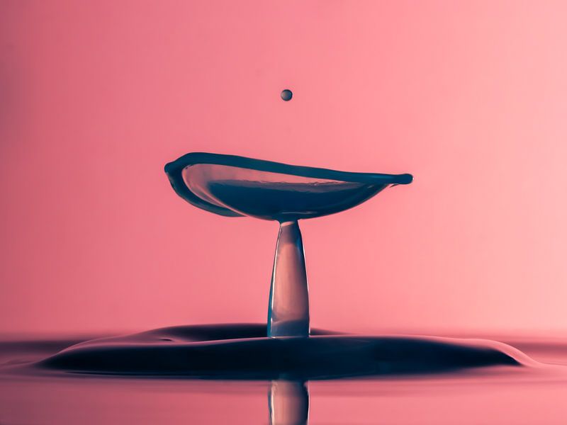 Heben von Enak Cortebeeck