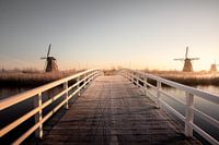 Brug met molens bij Kinderdijk