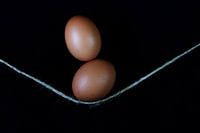 Eier im Gleichgewicht