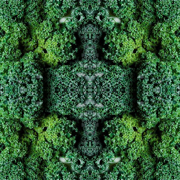 Kale by Christianne Keijzer