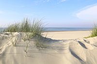 Baltrum , les dunes et la mer
