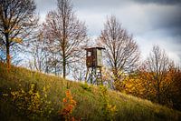 Colline d'automne avec pavillon de chasse en Thuringe