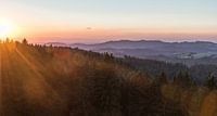 Goldene Stunde im Schwarzwald