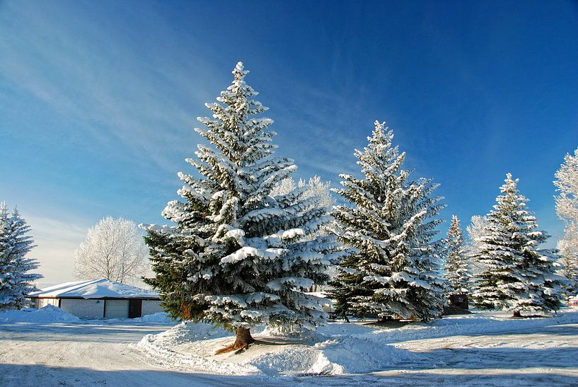 RIJP/FROST von Roelof Touw