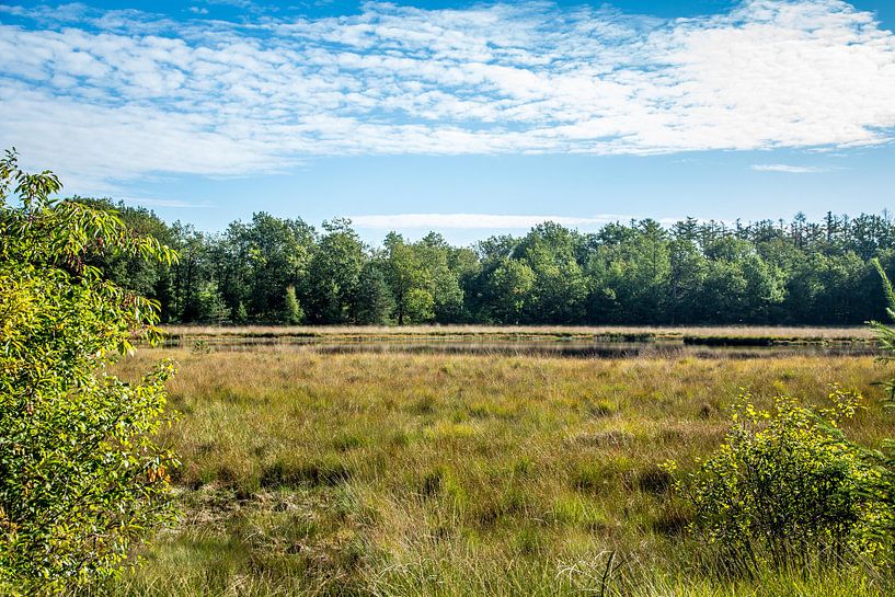 See in der Drents Friese würde von Jaap Mulder