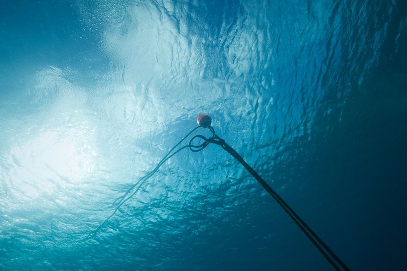 Boei onderwater von Vanessa D.