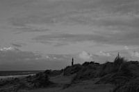 Die Dünen der Maasvlakte