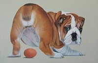 Ne sait pas ce qui s'est passé