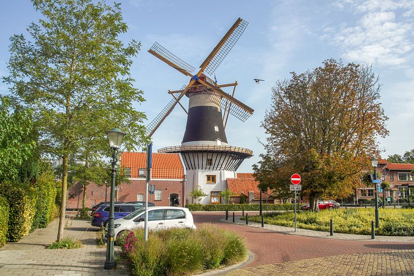 Wassenaar dans toute sa splendeur par Dirk van Egmond