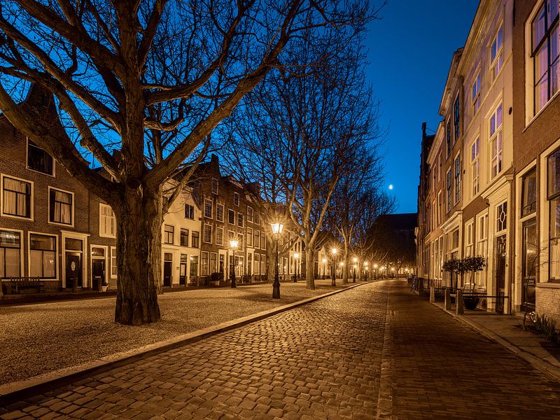 The Beautiful City Leiden by Dirk van Egmond