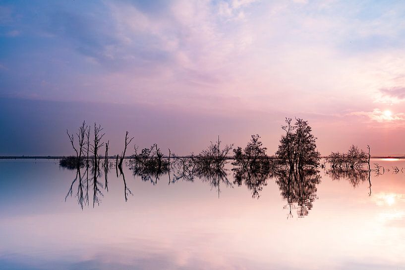 Lever du soleil sur le lac Brunstingerplas par Ton Drijfhamer