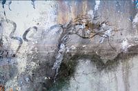 Landschaft in harten Jahreszeiten