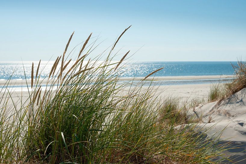 Dune par Reiner Würz / RWFotoArt