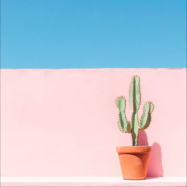 Cactus in front of a pink wall by Poster Art Shop