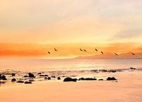 Abendmelodie auf Lanzarote