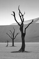 Black-and-white image of Deadvlei in Namibia