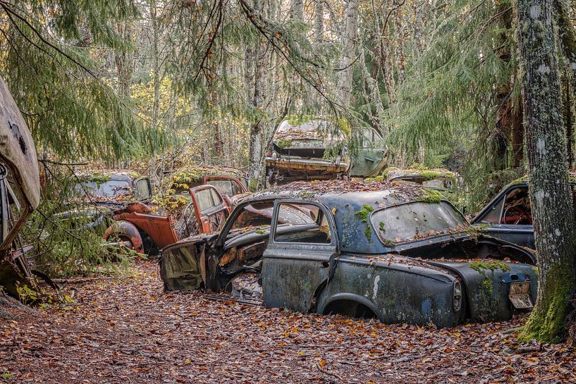 Des traces de rouille dans la forêt - Un cimetière de voitures en Suède par Gentleman of Decay