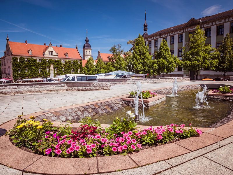 Innenstadt und Marktplatz von Riesa in Sachsen von Animaflora PicsStock
