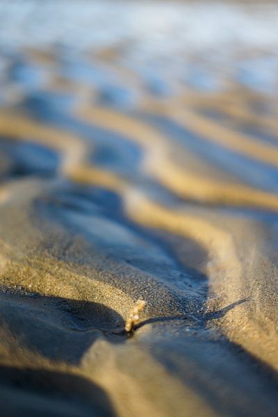 Modèle de plage par John Monster