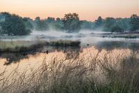 Nebel über dem Moor