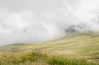 Landschap - "Small World"