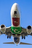 Transavia Boeing 737 landet auf dem Flughafen Schiphol