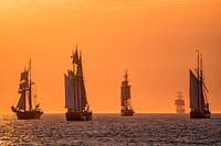 Sailing ships on the Hanse Sail