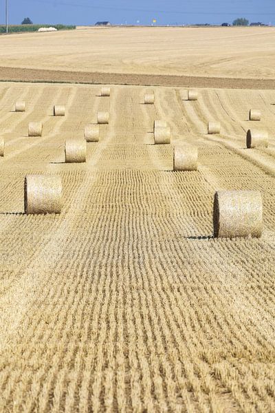 Dinant, die Stadt mit dem Charme und der Geschichte. von Patrick Fotografeert