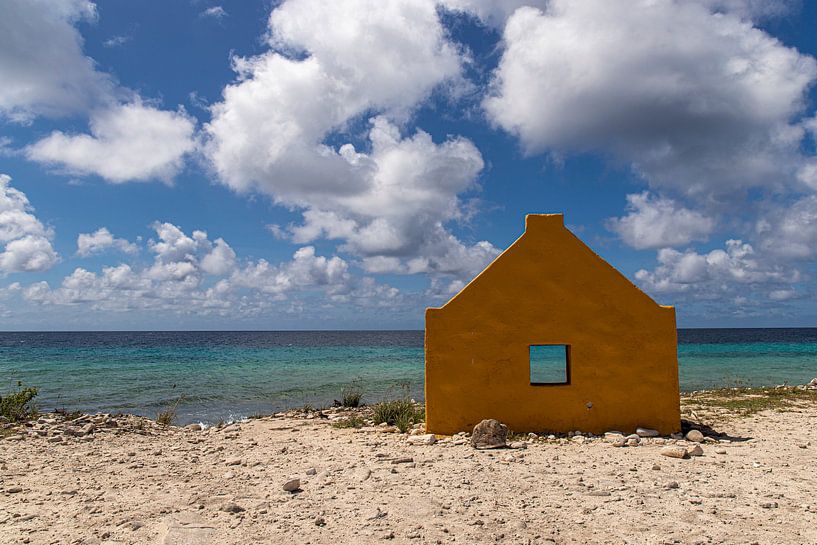 Roter Sklave Bonaire von Marly De Kok