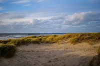 Paysage de dunes néerlandais avec vue sur la mer
