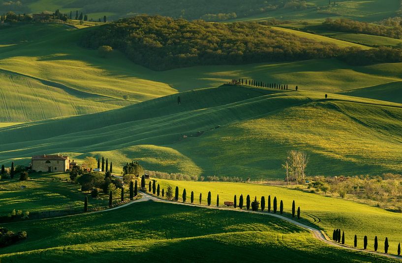 Val d'Orcia near Pienza by Ilya Korzelius