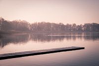 A romantic Frisian lake in winter