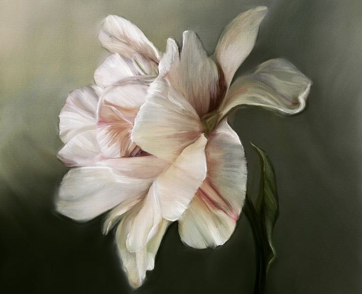 The shy peony by NMG