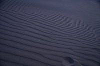 Beach detail of the Dutch coast